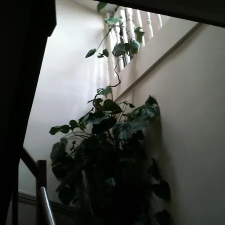 Domaine Le Village Bed and Breakfast Villenouvelle