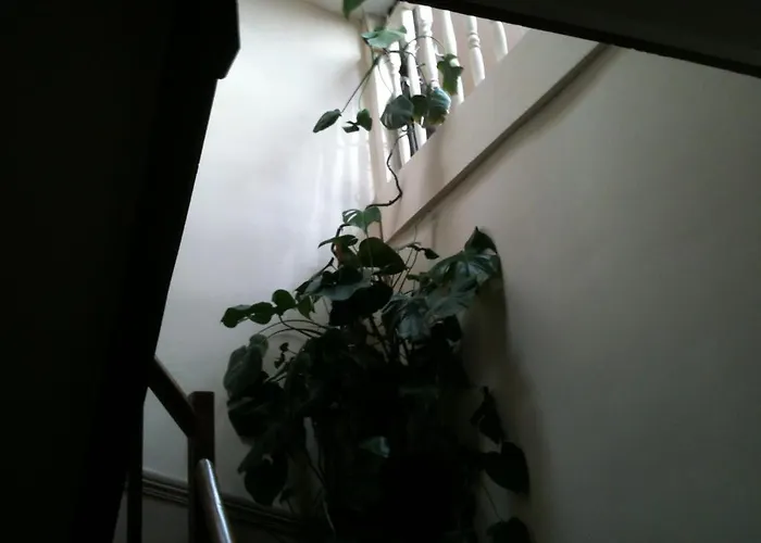 Maison Le Village Couette-café Villenouvelle